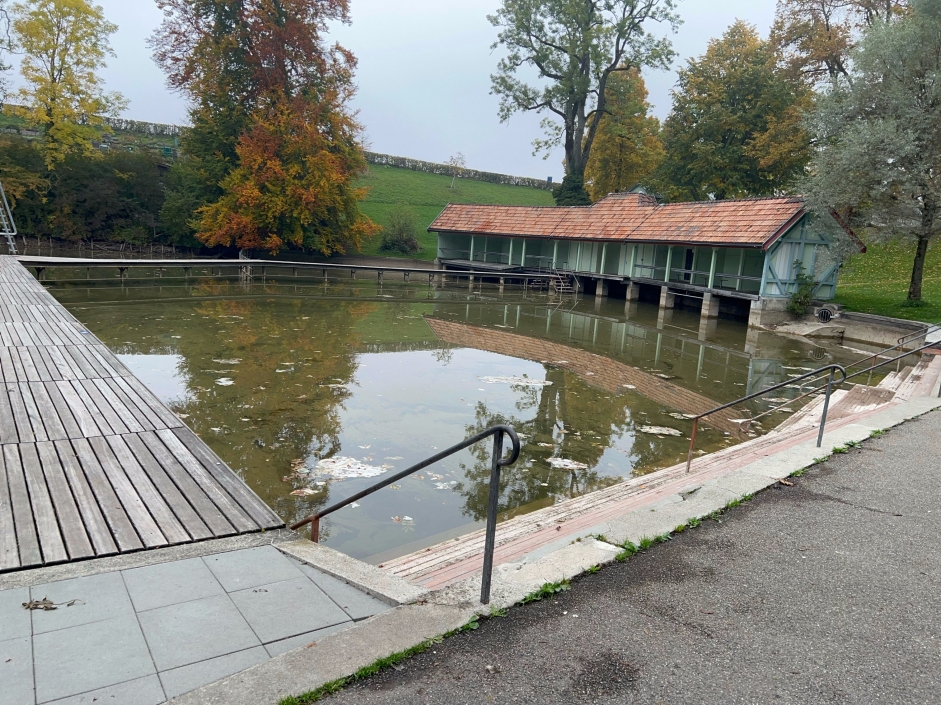 Verschmutzung im Mannenweiher 
